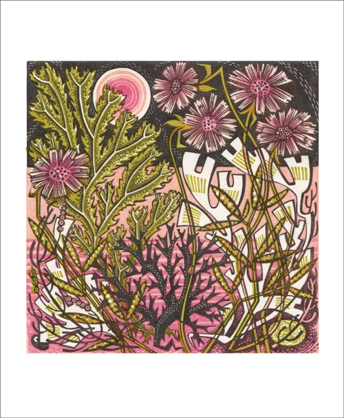 NC A.Lewin/Sea Pinks