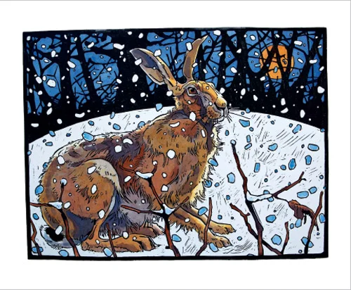 NC A.Haslen/WinterHare-AH1285X