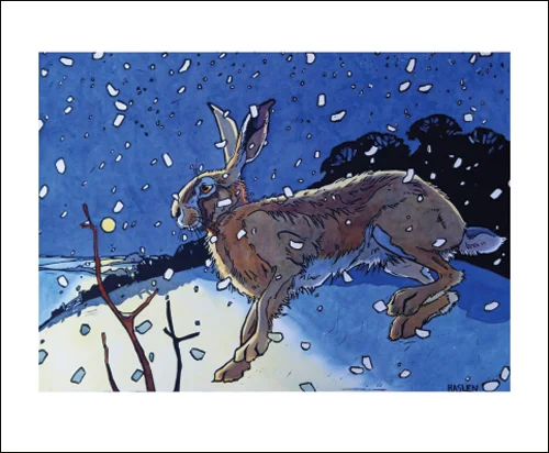 NC A.Haslen/Winter Hare II