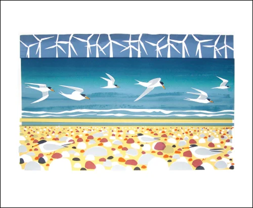 NC C.Akroyd/Big Turns&Li.Terns
