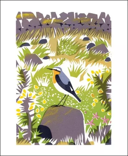 NC C.Akroyd/Wheatear