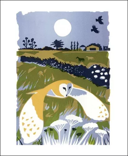 NC C.Akroyd/Barn Owl