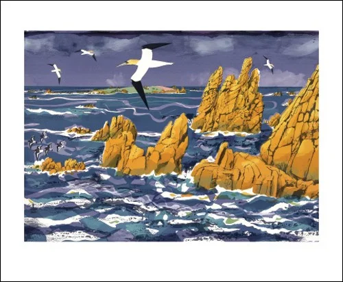 NC C.Akroyd/Granite,Gannet,Annet