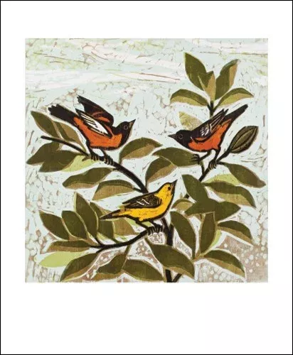 NC K.Ambler/Orioles Chatter