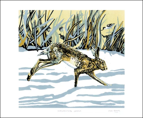 NC M.Angus/Unexpected Snow