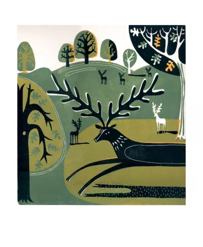 NC M.Evans/Stag in Knole Park
