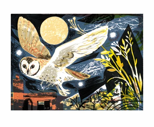 NC M.Hearld/Owl Fight