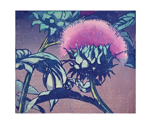 NC M.Royds/Artichoke