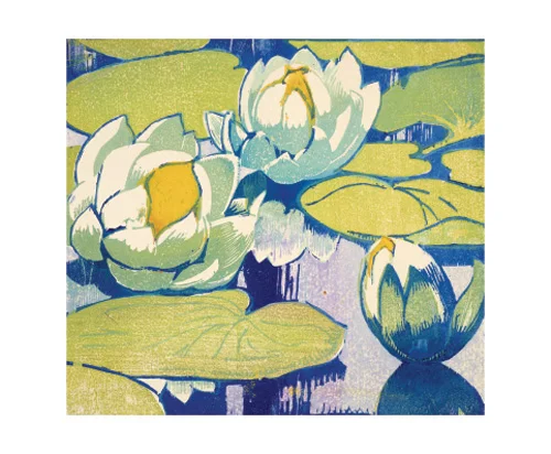 NC M.Royds/Water Lilies