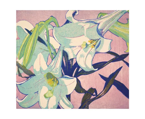 NC M.Royds/White Lilies