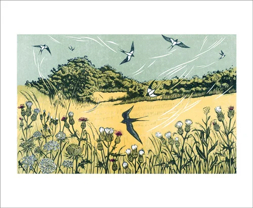 NC N.Bowers/Bayfield Swallows