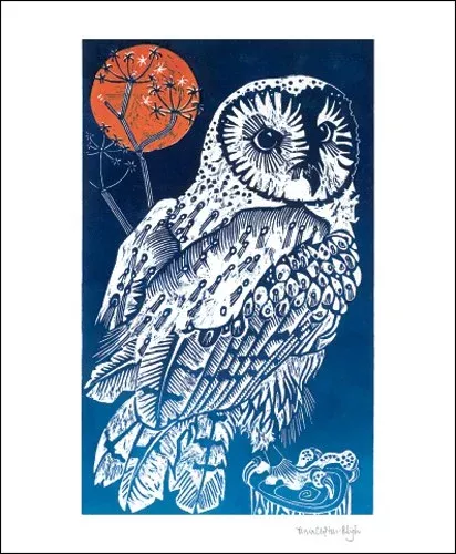 NC O.C.Bligh/Barn Owl