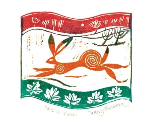 NC P.Bhadresa/Hare in Winter