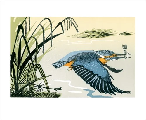 NC P.Grimmon/Kingfisher
