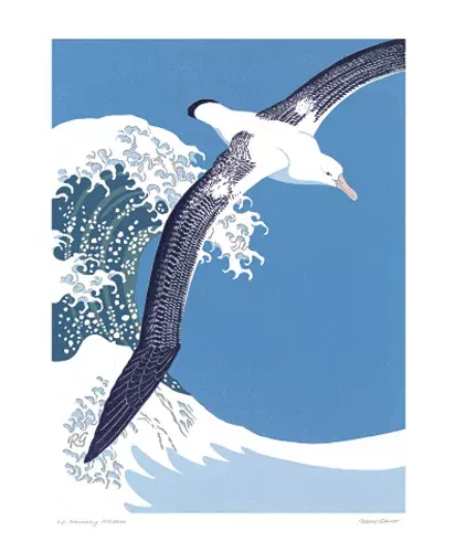 NC R.Gillmor/Wander.Albatross
