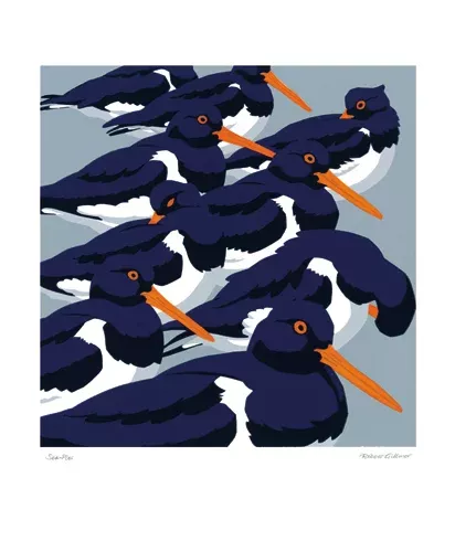 NC R.Gillmor/Sea-Pies(OysterC)