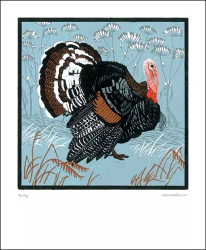 NC R.Gilmore/NF Black Turkey