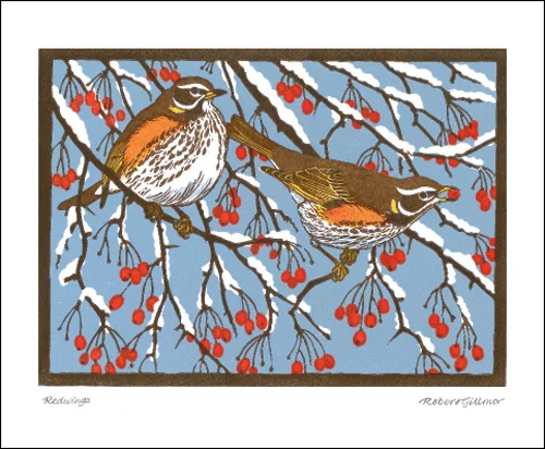 NC R.Gillmor/Redwings