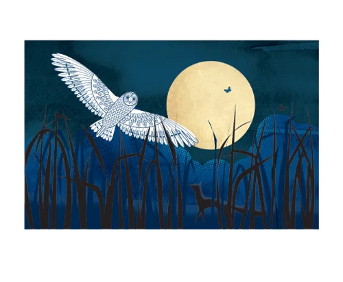 NC Sally Elford/Harvest Moon