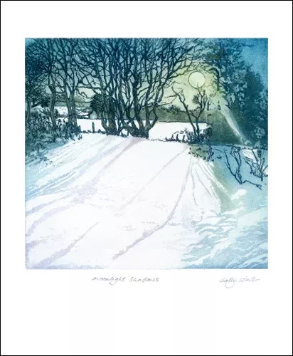 NC S.Winter/Moonlight Shadows