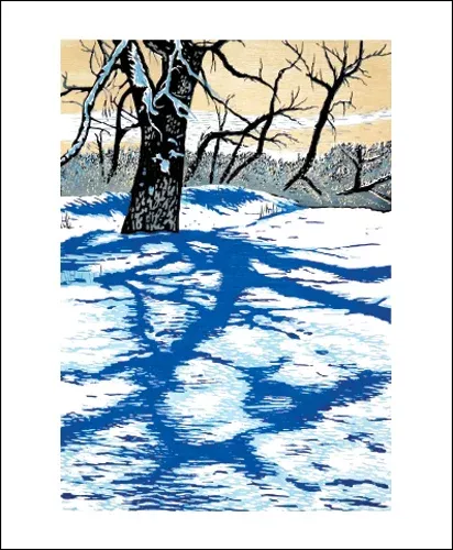 NC T.Haberkorn/Winter Shadow