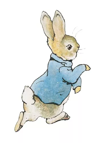 Peter Rabbit minicard