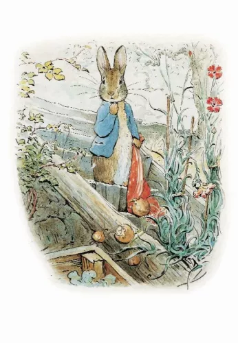 Peter Rabbit/bag minicard