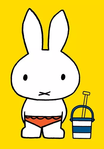 Miffy minicard backet