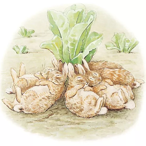 Beatrix Potter square bunnies sleeping, Greeting Card