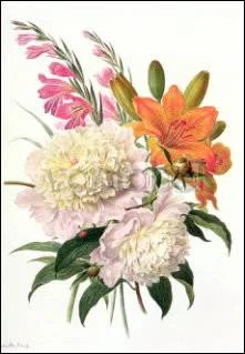H.G.Knip/Gladiolen,Pfingstrosen&Lilien, Greeting Card