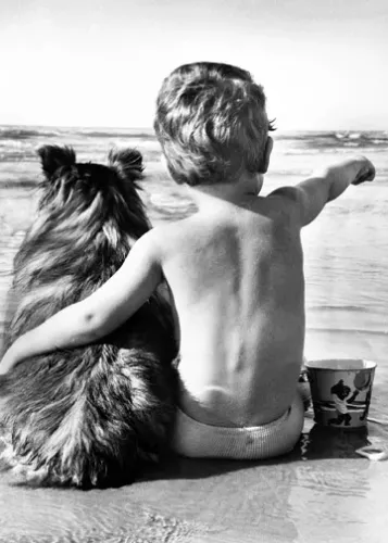 Watching the tide roll in,1960s, Greeting Card