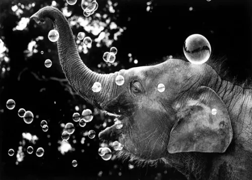 Bella blowing ballons,1970, Greeting Card