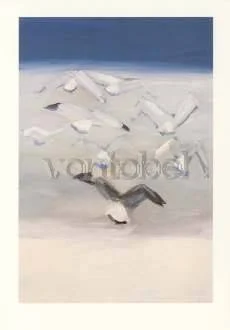 The Seagulls, Greeting Card