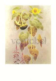 Early Autumn (1974), Greeting Card