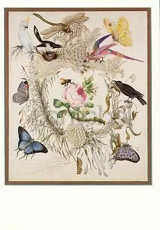 Bee and Rose (c. 1850), Greeting Card