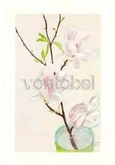Magnolia Spray (1939), Greeting Card