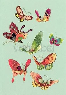 Butterflies, Greeting Card