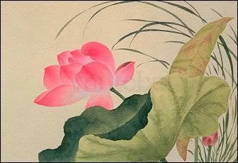 Lotus Flower, Greeting Card