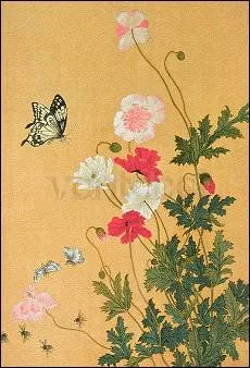 Poppies, Butterflies and Bees (Detail), Greeting Card