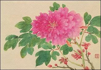 Peony (c. 1774), Greeting Card