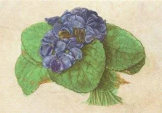 Violets (1505), Greeting Card