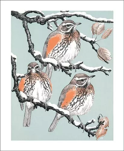 Robert Gillmor/ Redwings