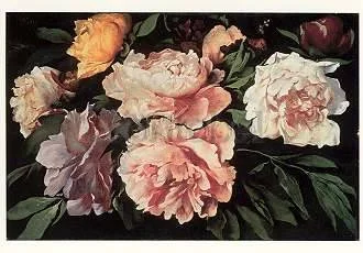A. Feuerbach/ Peonies, Postcard
