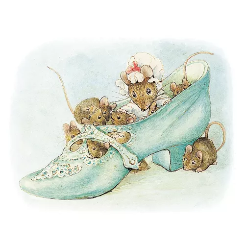 Square Mouses in Shoe