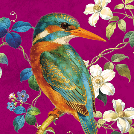 Jewelled Kingfisher, Greeting Card