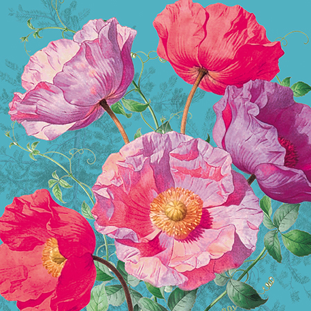 Poppy Brights, Greeting Card
