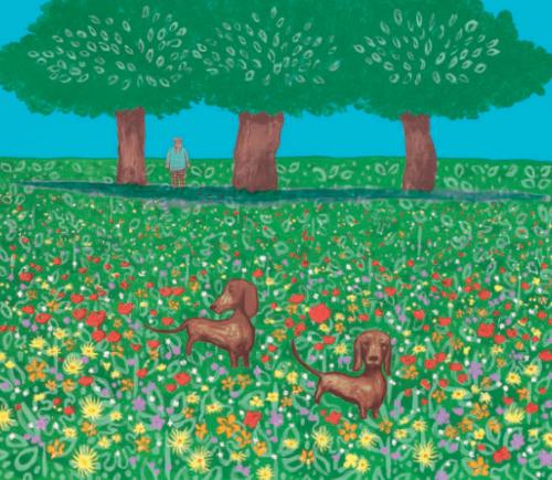 Hockney's Dog - Summer