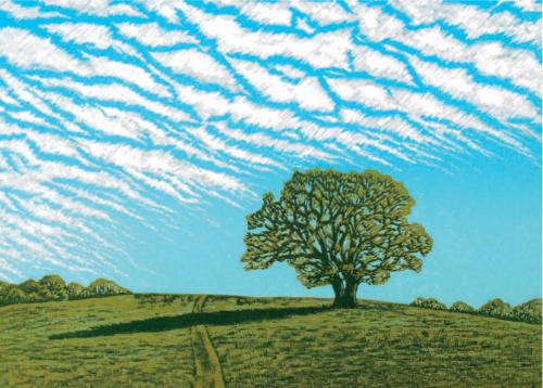Mackerel Sky
