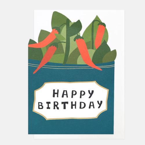 Happy Birthday Chilli Plant In Can