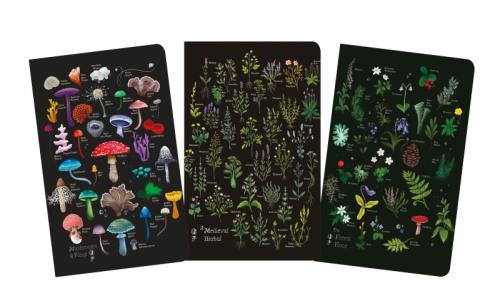Herbals, Set of 3 Mini Notebooks